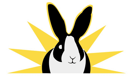 Special Bunny Rescue